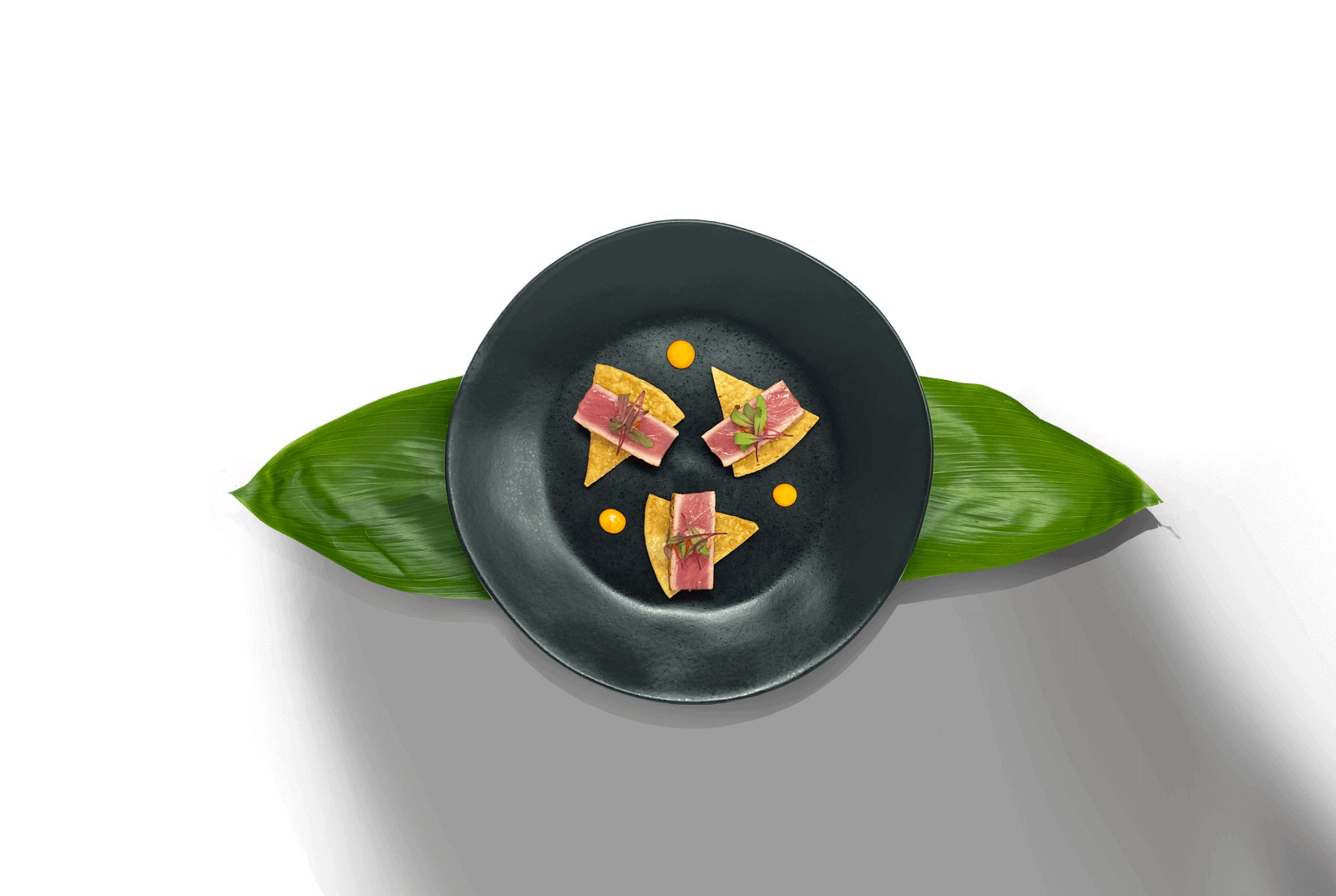 tuna-taco-image